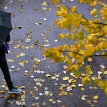 Αχαΐα: Σταδιακή βελτίωση του καιρού από σήμερα 1 Καπνός και πυροσβέστες στο καίριο της Αχαΐας