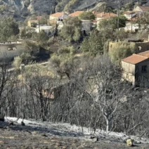 Ερύμανθος: Επικίνδυνες εκκρεμότητες σε πυρόπληκτα χωριά της Τριταίας 1 Ερύμανθος: Επικίνδυνες εκκρεμότητες σε πυρόπληκτα χωριά της Τριταίας