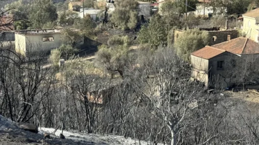 Ερύμανθος: Επικίνδυνες εκκρεμότητες σε πυρόπληκτα χωριά της Τριταίας 19 Ερύμανθος: Επικίνδυνες εκκρεμότητες σε πυρόπληκτα χωριά της Τριταίας