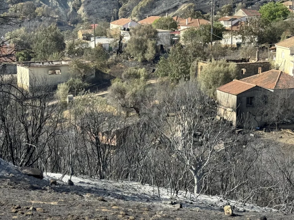 Ερύμανθος: Επικίνδυνες εκκρεμότητες σε πυρόπληκτα χωριά της Τριταίας