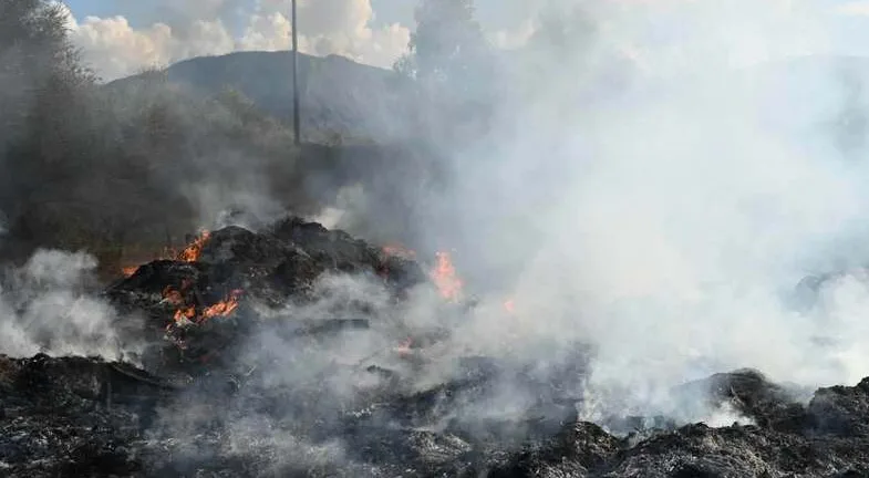 Αίγιο: Φωτιά σε σκουπίδια και ξερά χόρτα κοντά στον Σελινούντα ΦΩΤΟ 5 Αίγιο: Φωτιά σε σκουπίδια και ξερά χόρτα κοντά στον Σελινούντα ΦΩΤΟ