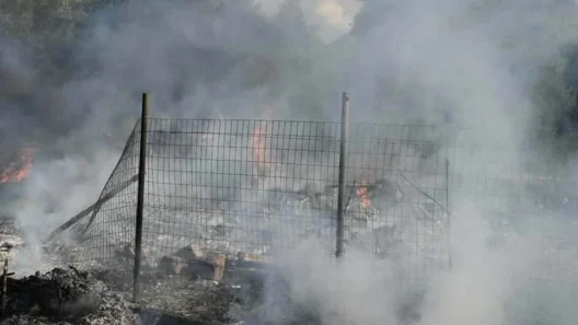 Αίγιο: Φωτιά σε σκουπίδια και ξερά χόρτα κοντά στον Σελινούντα ΦΩΤΟ