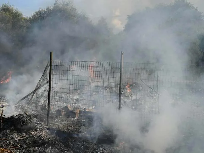 Αίγιο: Φωτιά σε σκουπίδια και ξερά χόρτα κοντά στον Σελινούντα ΦΩΤΟ