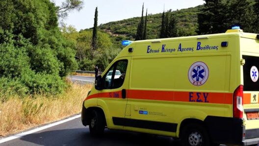 Ηλεία: Νεκρός σε χωράφι που πήγε από την Αθήνα για μάζεμα ελιών 13 Πρόσωπο νεκρό σε ελαία στην Ηλεία, κοντά σε δρόμο προς Αθήνα