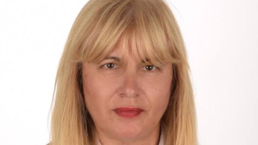 «Επτά μήνες σε αναστολή ο Οδοντωτός Διακοπτού - Καλαβρύτων και αβεβαιότητα για την επανεκκίνησή του»