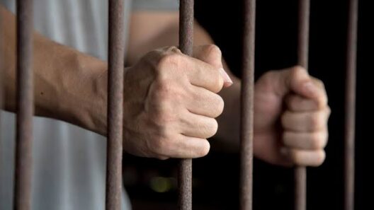 Πύργος: Ελεύθερος παρά την ποινή φυλάκισης για κλοπή 12 Πύργος: Ελεύθερος παρά την ποινή φυλάκισης για κλοπή