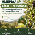 Ημερίδα του Δήμου Αρχαίας Ολυμπίας για την ελαιοκαλλιέργεια