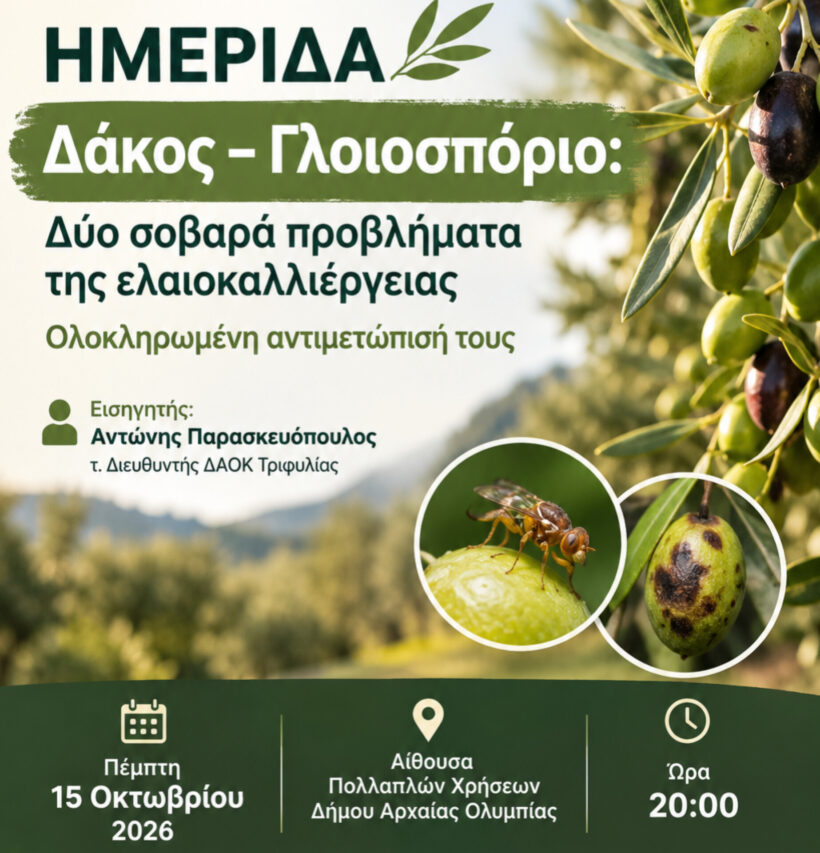 Ημερίδα του Δήμου Αρχαίας Ολυμπίας για την ελαιοκαλλιέργεια 4 Ημερίδα του Δήμου Αρχαίας Ολυμπίας για την ελαιοκαλλιέργεια