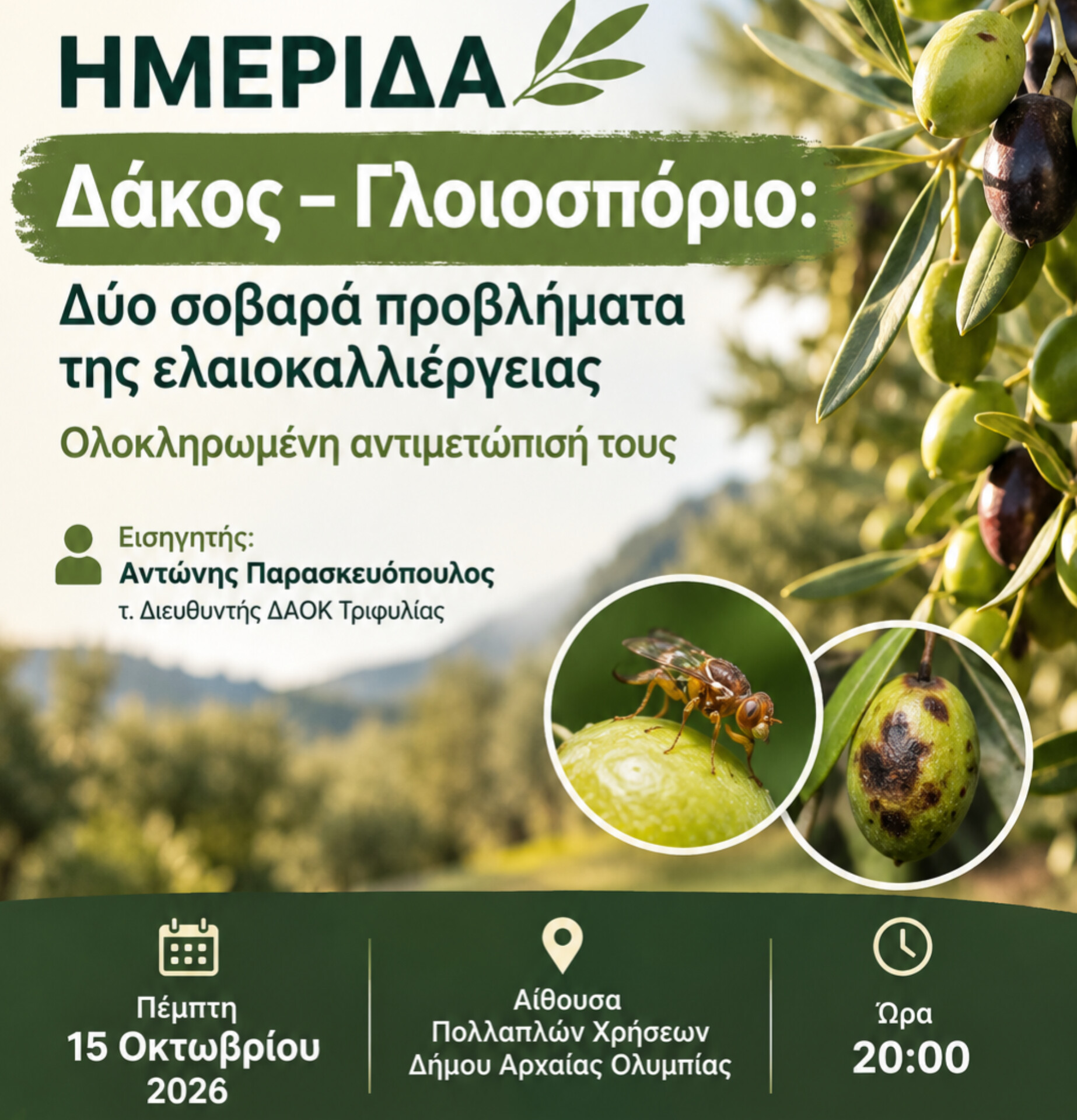 Ημερίδα του Δήμου Αρχαίας Ολυμπίας για την ελαιοκαλλιέργεια