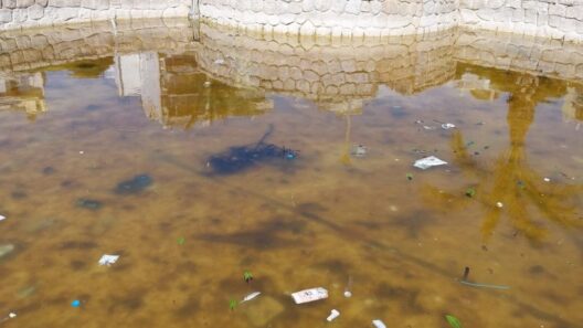 Σκηνικό στην Πάτρα με τα συντριβάνια των Υψηλών Αλωνίων