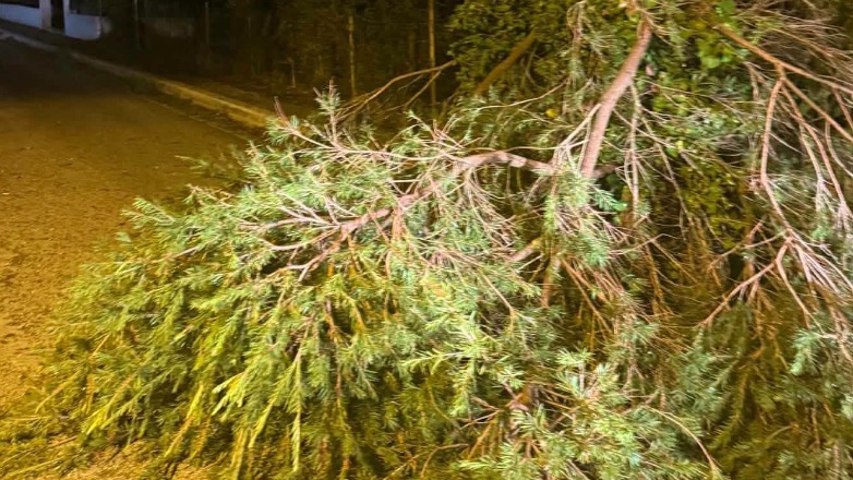 Ηλεία: Χαλάζι και ανεμοστρόβιλος «σάρωσαν» τα πάντα ΦΩΤΟ