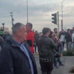 Αχαΐα: Επιστολή του Επιμελητηρίου τον υπουργό Αγροτικής Ανάπτυξης για συνάντηση με εκπροσώπους των κτηνοτρόφων