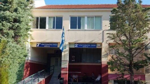 Πάτρα: Μαθητές του 7ου ΕΠΑΛ κάνουν μάθημα με τους φακούς των κινητών - Τι απαντά ο Δήμος 12 Πάτρα: Μαθητές του 7ου ΕΠΑΛ κάνουν μάθημα με τους φακούς των κινητών - Τι απαντά ο Δήμος
