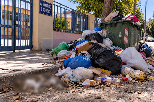 Προσφυγικά: «Βουνά» απορριμμάτων και νεκρό ζώο έξω από Δημοτικό σχολείο ΦΩΤΟ