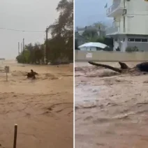 Πλημμύρισε η Σκιάθος από την ισχυρή κακοκαιρία ΒΙΝΤΕΟ 2 Πλημμύρισε η Σκιάθος από την ισχυρή κακοκαιρία ΒΙΝΤΕΟ