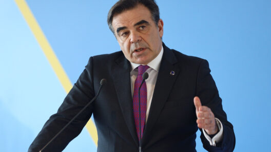 Φωτογραφία που απεικονίζει την ενίσχυση δικαίωσης στην Ηλεία