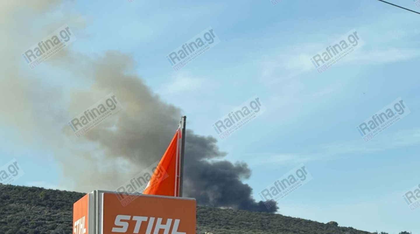 Μαραθώνας: Φωτιά σε αποθήκες στο ελικοδρόμιο του Πολεμικού Ναυτικού ΦΩΤΟ 6 Μαραθώνας: Φωτιά σε αποθήκες στο ελικοδρόμιο του Πολεμικού Ναυτικού ΦΩΤΟ