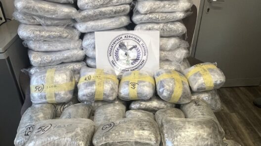 Με ενοικιαζόμενο ΙΧ η μεταφορά 70 κιλά ναρκωτικών - Πώς έδρασε η Δίωξη Ναρκωτικών Πάτρας ΦΩΤΟ