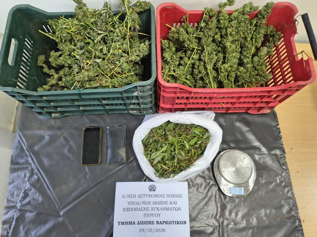 Ηλεία: Μίνι χασισοφυτεία μέσα σε δάσος - Μια σύλληψη ΦΩΤΟ 5 Ηλεία: Μίνι χασισοφυτεία μέσα σε δάσος - Μια σύλληψη ΦΩΤΟ