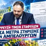 «Οι αμπελουργοί ξεκληρίζονται και οι τιμές των σταφυλιών καταρρέουν»