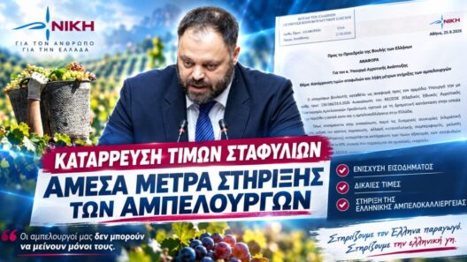 «Οι αμπελουργοί ξεκληρίζονται και οι τιμές των σταφυλιών καταρρέουν»